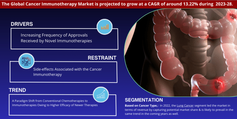 Cancer Immunotherapy Market