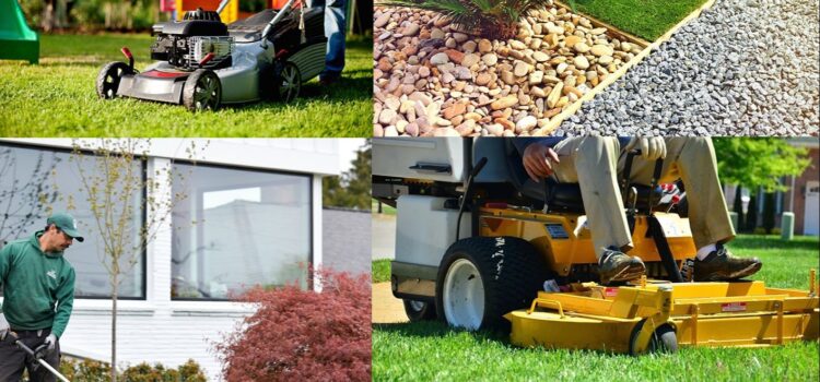 Unveiling the Essence: Lawn Care vs. Landscaping for Seattle Yard Maintenance