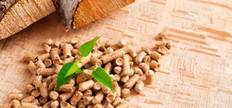 Wood Chips vs. Wood Pellets: Which Fuel Should You Choose for Your Biomass Boiler?