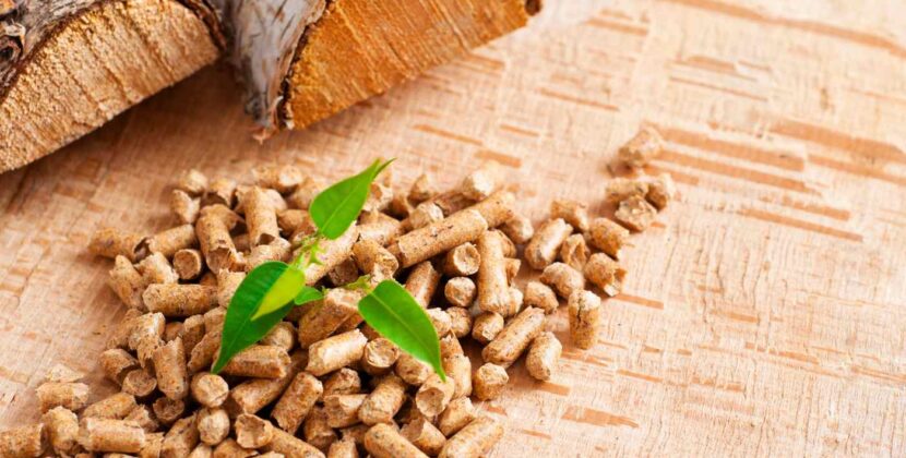 Wood Chips vs. Wood Pellets: Which Fuel Should You Choose for Your Biomass Boiler?